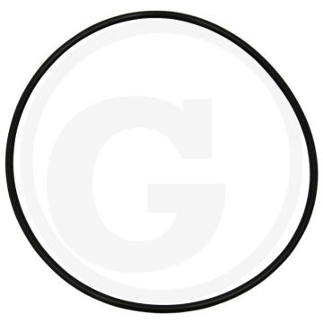 O-ring (cilinderbus, indien gewenst gebruiken)