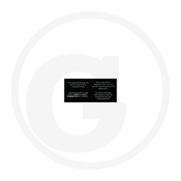 Remaslager - passend voor Porsche Diesel AP 16, AP 17, AP 18...
