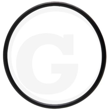 O-ring (dynamo)