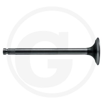 Uitlaatklep voor AD 3.152 Super 7D (Afb. nr. 2)