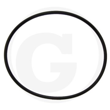 O-ring (Cilinderbus)