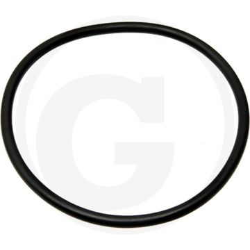 O-ring (Cilinderbus)