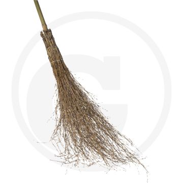 Bamboe takkenbezem (met bamboesteel)