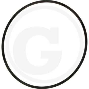Fleetguard Afdichting - Fleetguard nr. 333763S