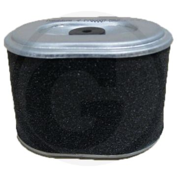 Donaldson Luchtfilter - Langwerpig, 103mm, ISO 5011, Voor Honda 17210ZE1505