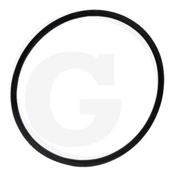 Afdichtring (tussen brandstoffilter)
