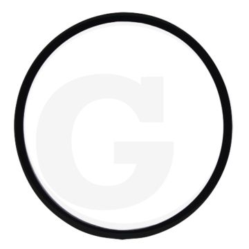 O-ring (voor filterglas 8009984)