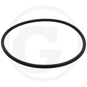 Afdichtring (voor brandstoffilter)
