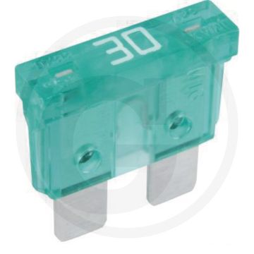 Steekzekeringen, standaard (32 volt maximaal / 30 A | groen | VPE 1)