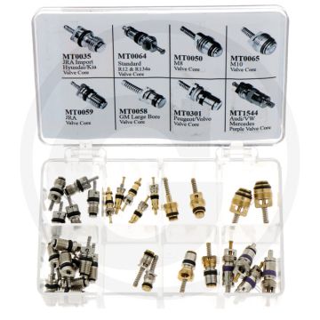 AKS-Dasis Schraderklep assortiment – 8-delig ventielenset