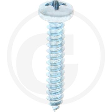 Bolkop plaatschroef 3,9 x 22 DIN 7981 (VPE100)