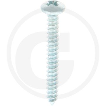 Bolkop plaatschroef 3,9 x 32 DIN 7981 (VPE100)