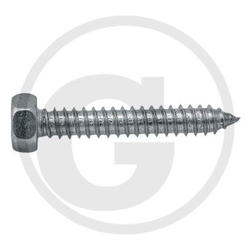 VPE250 zeskantbouten M3x9,5 DIN 7976 staal gegalvaniseerd 4.8 zeskantkop