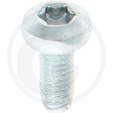 Zelfdraadvormende bout M4x10 DIN7500 (VPE1000)