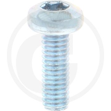 Bolcilinderkopschroeven DIN 7985 M4 x 12 staal 8.8 TORX T20 gegalvaniseerd
