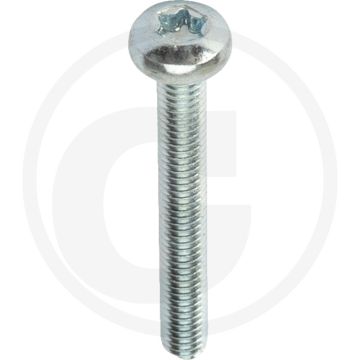 Bolcilinderkopschroeven DIN 7985 M4 x 32 staal 8.8 TORX® T20 gegalvaniseerd
