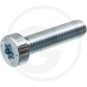 Cilinderkopschroeven DIN 7984 M4 x 10 staal 8.8 TORX® T20 gegalvaniseerd