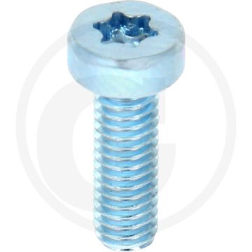 VPE500 cilinderkopbouten M4x12 DIN 7984 staal 8.8 TORX® gegalvaniseerd