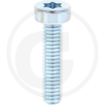 VPE500 cilinderkopbouten M4x16 DIN 7984 staal 8.8 verzinkt TORX T20