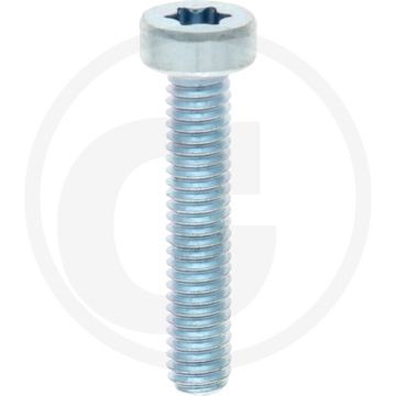 VPE500 cilinderkopbouten M4x20 DIN 7984 staal 8.8 gegalvaniseerd TORX® T20