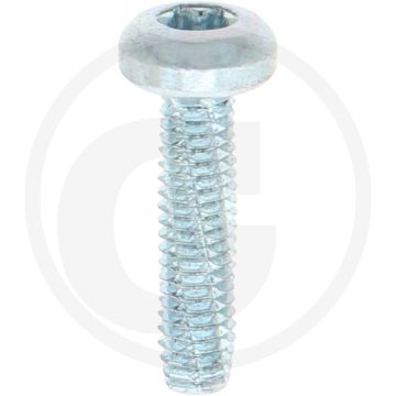 VPE2000 zelftappende schr. M4x16 DIN7516 verzinkt staal bolle kop T20