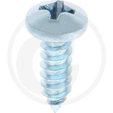 Bolkop plaatschroef 4,2 x 13 DIN 7981 (VPE100)