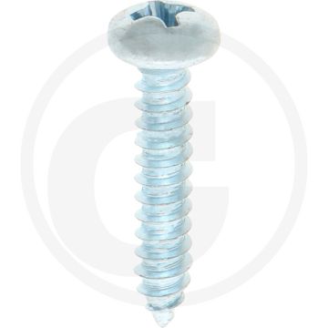 Bolkop plaatschroef 4,2 x 22 DIN 7981 (VPE100)