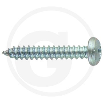 Bolkop plaatschroef 4,2 x 25 DIN 7981 (VPE100)