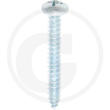 Bolkop plaatschroef 4,2 x 32 DIN 7981 (VPE100)