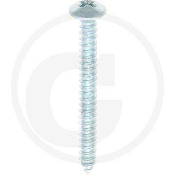 Bolkop plaatschroef 4,2 x 38 DIN 7981 (VPE100)