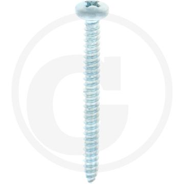 Bolkop plaatschroef 4,2 x 45 DIN 7981 (VPE100)