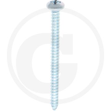 Bolkop plaatschroef 4,2 x 50 DIN 7981 (VPE100)