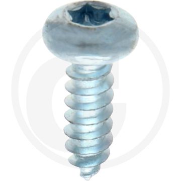 Bolkop plaatschroef 4,2 x 13 DIN 7981 (VPE1000)