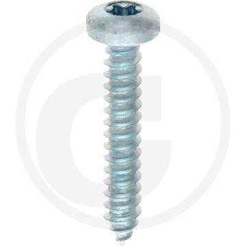 Bolkop plaatschroef 4,2 x 25 DIN 7981 (VPE500)
