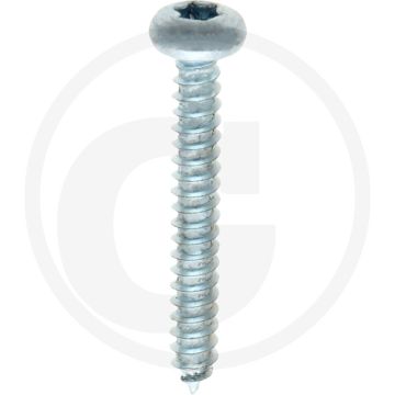 Bolkop plaatschroef 4,2 x 32 DIN 7981 (VPE500)