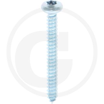 Bolkop plaatschroef 4,2 x 38 DIN 7981 (VPE500)