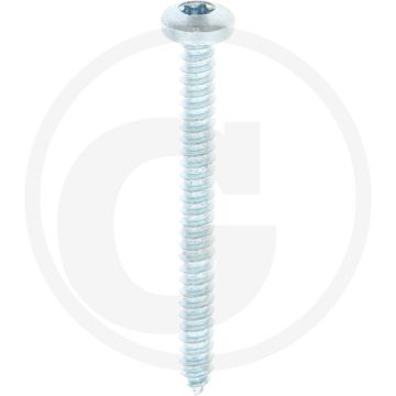 Bolkop plaatschroef 4,2 x 45 DIN 7981 (VPE500)