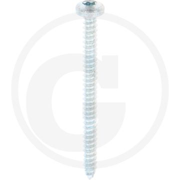 Bolkop plaatschroef 4,2 x 50 DIN 7981 (VPE500)