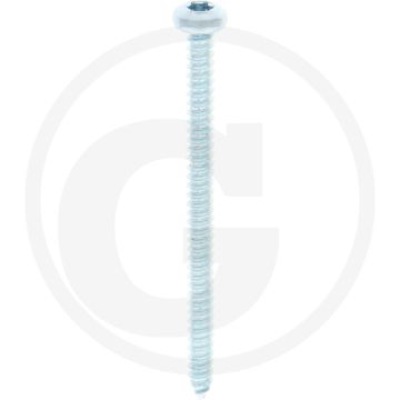 Bolkop plaatschroef 4,2 x 60 DIN 7981 (VPE500)