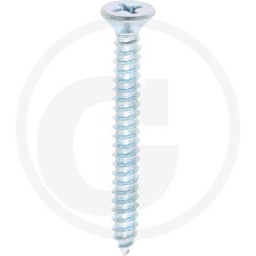 Verz. zelftappende schr. 4,2x38 DIN7982 (VPE100)