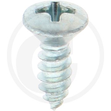 Bolkop plaatschroef 4,2 x 13 DIN 7983 (VPE100)