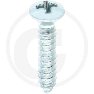 Bolkop plaatschroef 4,2 x 22 DIN 7983 (VPE100)