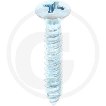 Bolkop plaatschroef 4,2 x 25 DIN 7983 (VPE100)