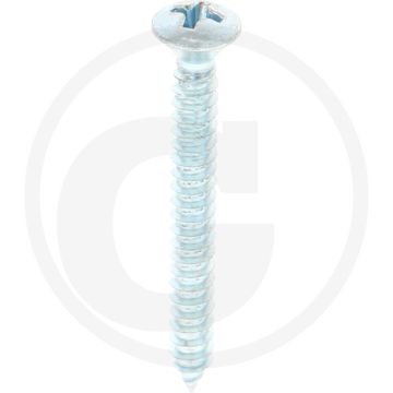 Bolkop plaatschroef 4,2 x 38 DIN 7983 (VPE100)