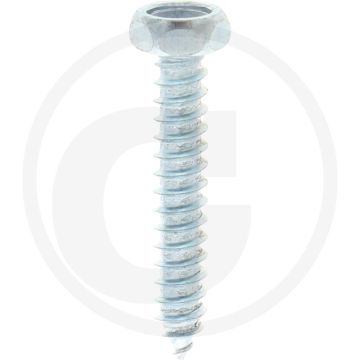 VPE250 zeskantbouten M4x25 DIN 7976 staal gegalvaniseerd kwaliteit 4