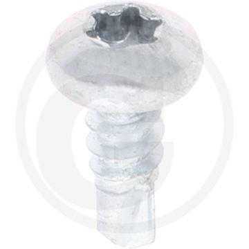 VPE1000 zelfb. schroeven 4,8x13 DIN 7504 staal gegalv. bolle kop T25