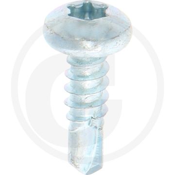 VPE1000 zelfb. schroeven 4,8x16 DIN 7504 staal gegalvaniseerd bolle kop T25