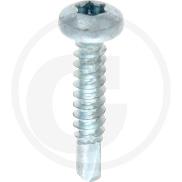VPE1000 zelfb. schroeven 4,8x25 DIN 7504 staal gegalvaniseerd bolle kop T25