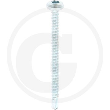 VPE250 zelfb. schroeven 4,8x60 DIN 7504 staal gegalv. T25 bolle kop