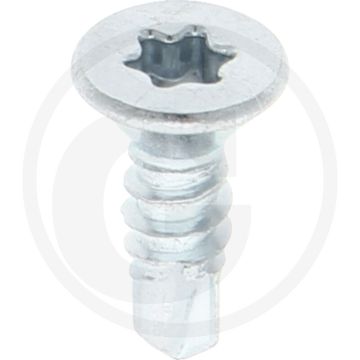 VPE1000 zelfb. schroeven 4,8x16 DIN 7504 staal gegalvaniseerd T25 kruiskop